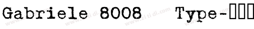 Gabriele 8008   Type字体转换